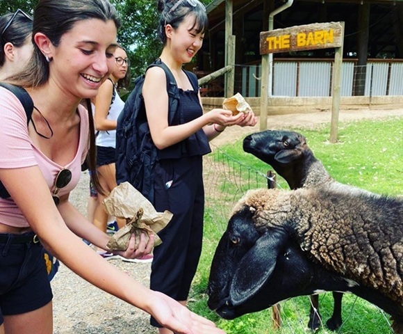 Junior_Camps_Brisbane_Sanpshot